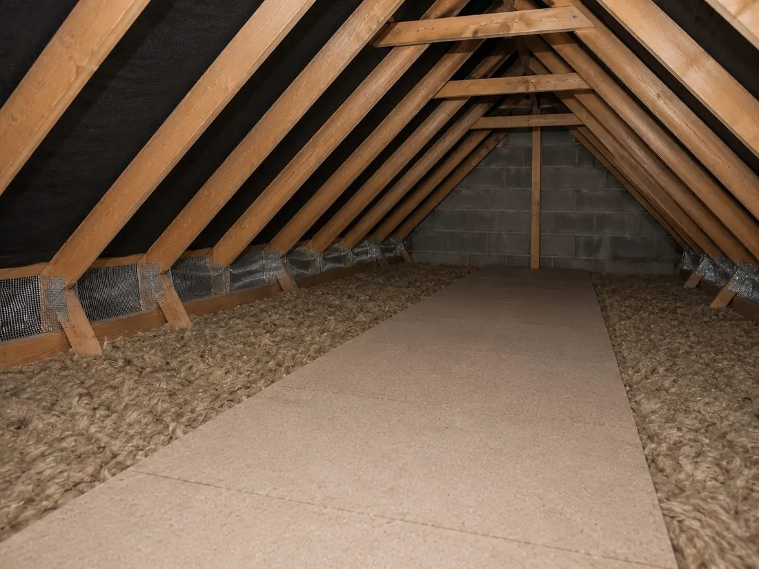 Loft insulation disturbed by rodents, with entry points at the eaves